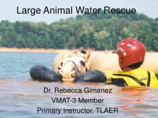 Large Animal Water Rescue