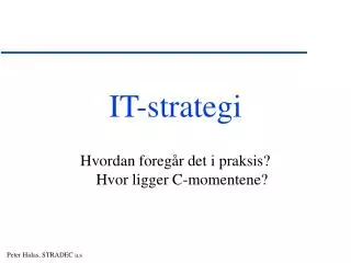 it strategi