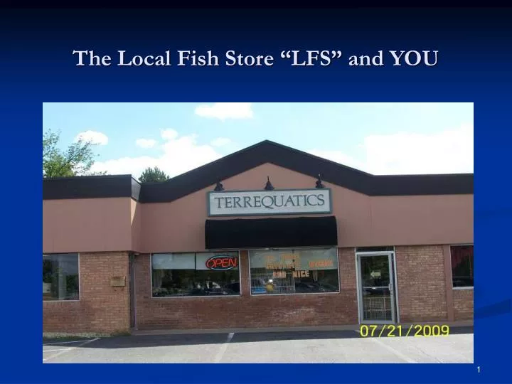 the local fish store lfs and you
