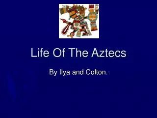 Life Of The Aztecs