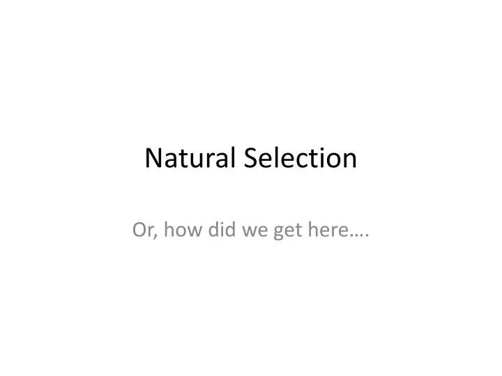 natural selection