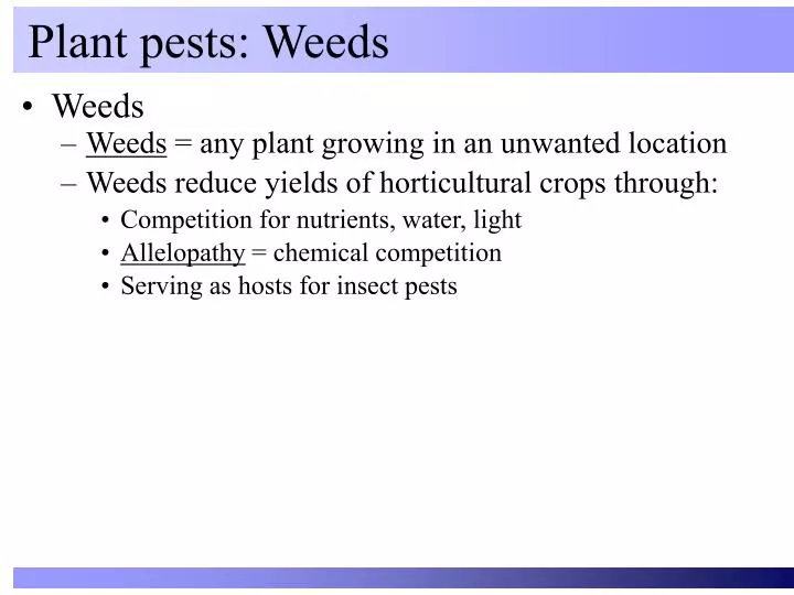 plant pests weeds