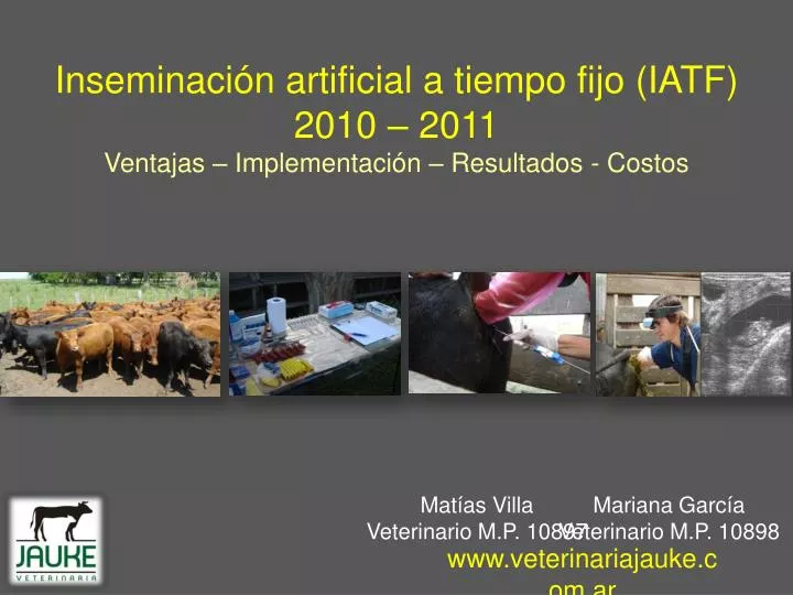 inseminaci n artificial a tiempo fijo iatf 2010 2011 ventajas implementaci n resultados costos