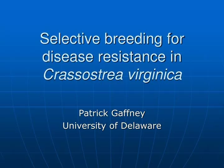 selective breeding for disease resistance in crassostrea virginica