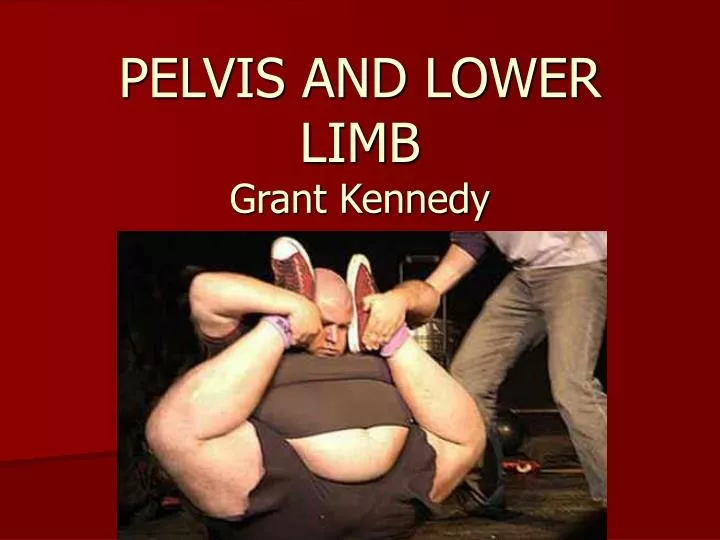 pelvis and lower limb grant kennedy