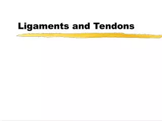 Ligaments and Tendons