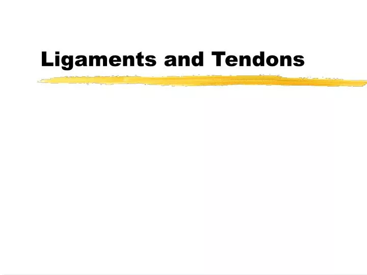 ligaments and tendons