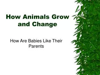 How Animals Grow and Change