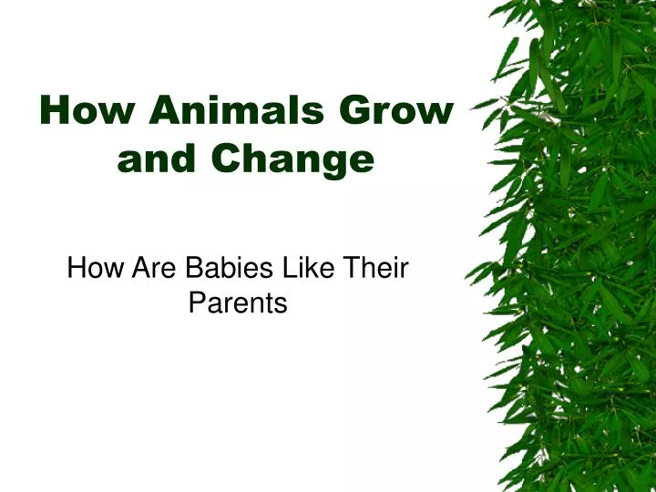 how animals grow and change