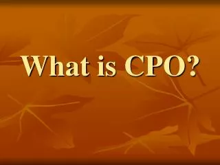 What is CPO?