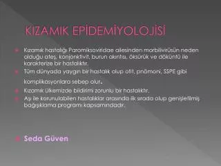 kizamik ep dem yoloj s
