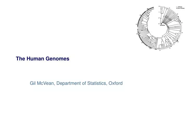 the human genomes