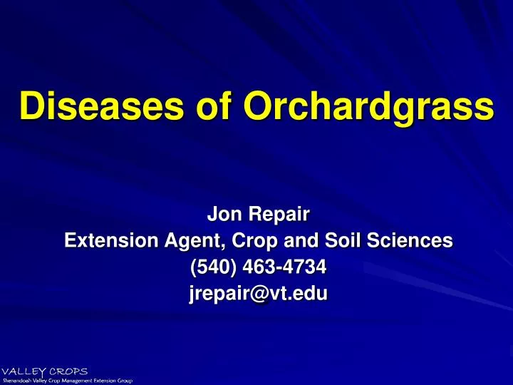 diseases of orchardgrass