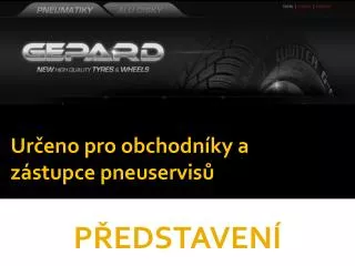 ur eno pro obchodn ky a z stupce pneuservis