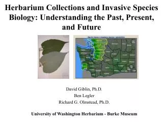 Herbarium Collections and Invasive Species Biology: Understanding the Past, Present, and Future