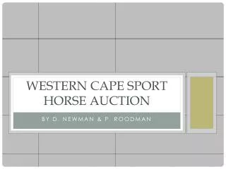Western Cape Sport Horse Auction