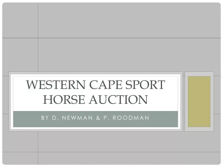 western cape sport horse auction