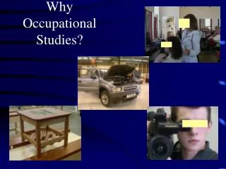 Why Occupational Studies?