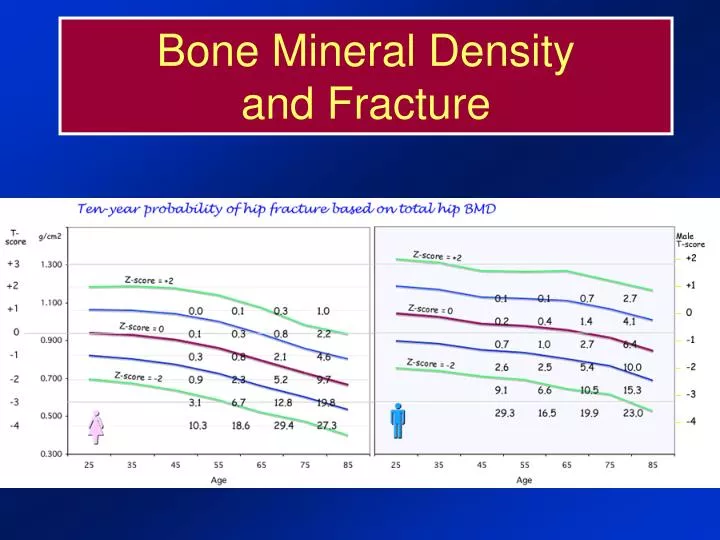bone mineral density and fracture
