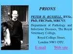 PRIONS - slide 1