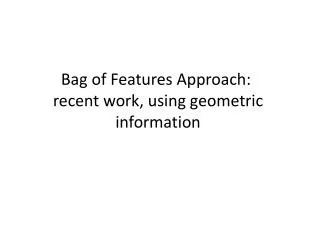 Bag of Features Approach: recent work, using geometric information