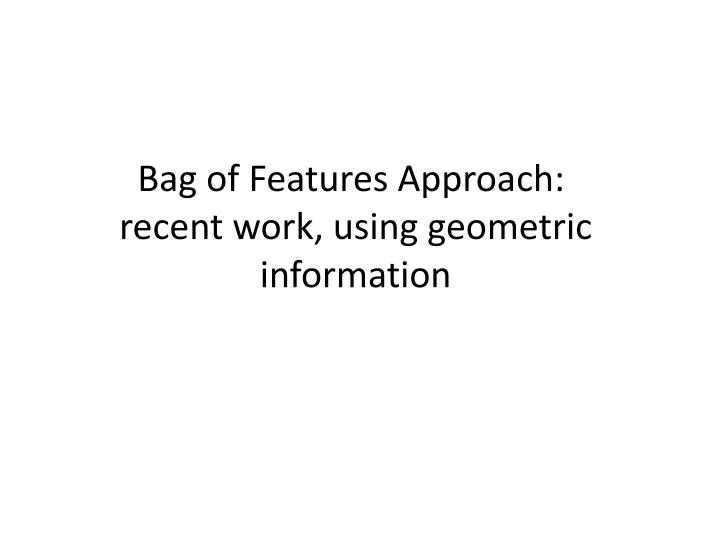 bag of features approach recent work using geometric information