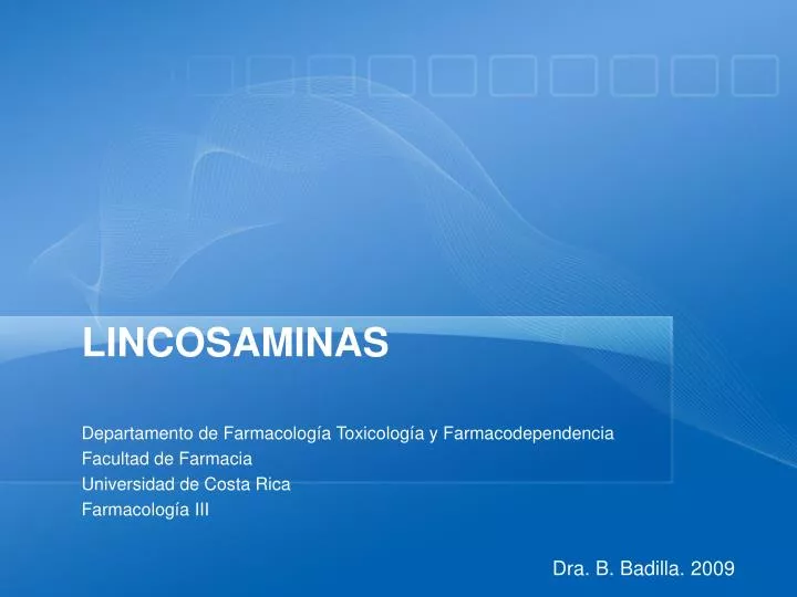 lincosaminas