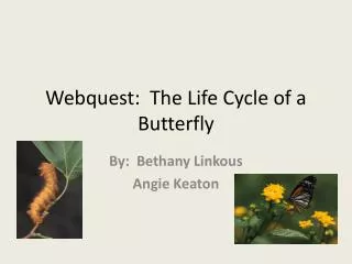 Webquest: The Life Cycle of a Butterfly
