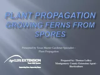 Plant Propagation Growing Ferns from Spores