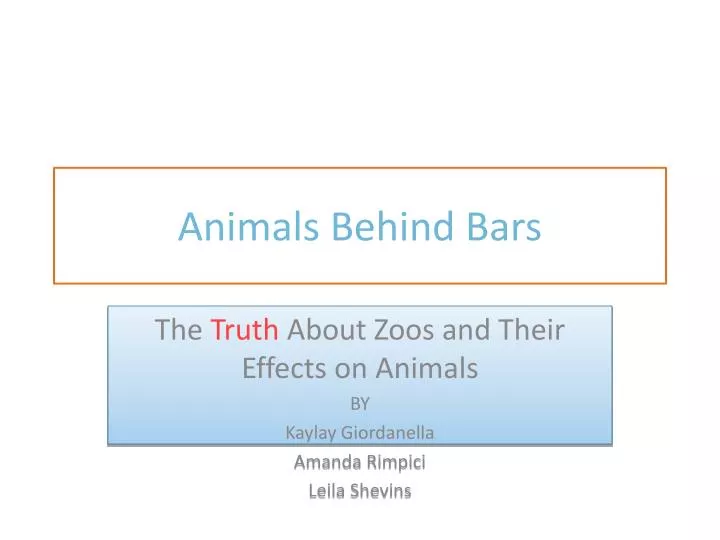animals behind bars