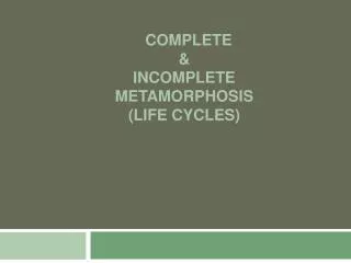 Complete &amp; Incomplete metamorphosis (Life cycles)