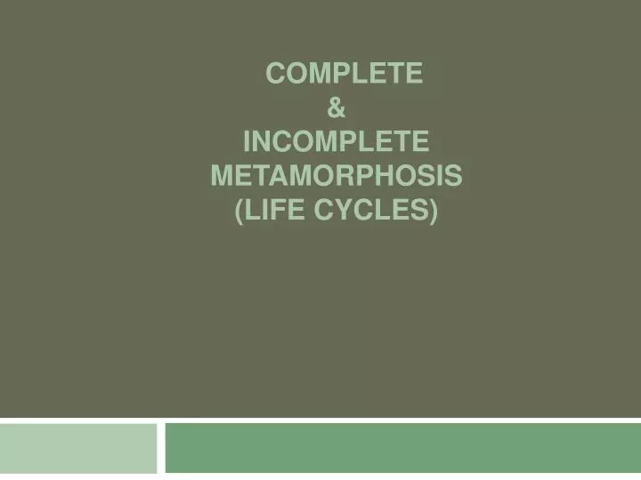 complete incomplete metamorphosis life cycles