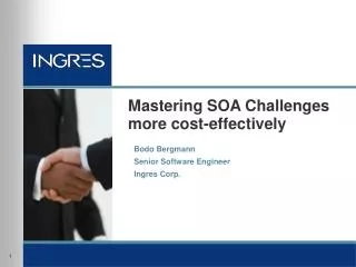 Mastering SOA Challenges more cost-effectively