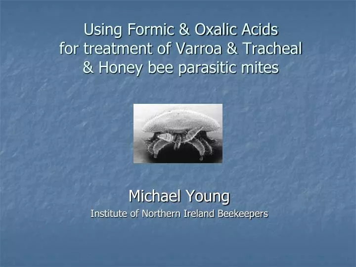 using formic oxalic acids for treatment of varroa tracheal honey bee parasitic mites