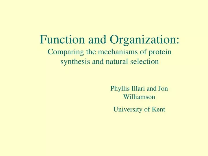 function and organization comparing the mechanisms of protein synthesis and natural selection