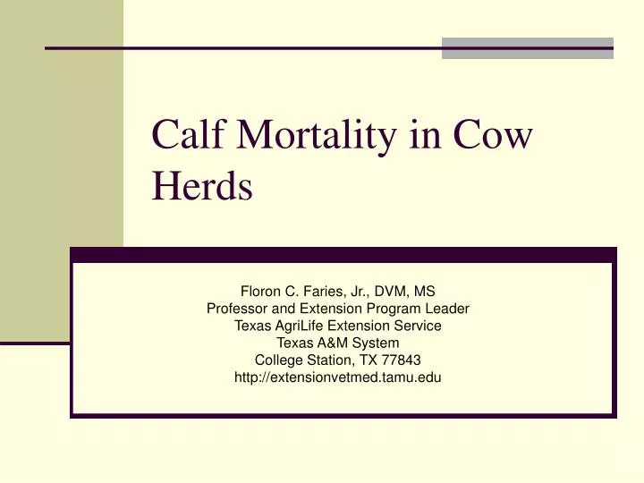 calf mortality in cow herds