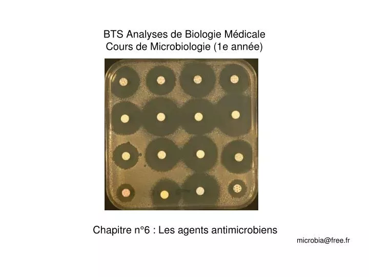 bts analyses de biologie m dicale cours de microbiologie 1e ann e