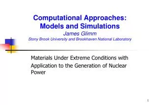 Computational Approaches: Models and Simulations James Glimm Stony Brook University and Brookhaven National Laboratory