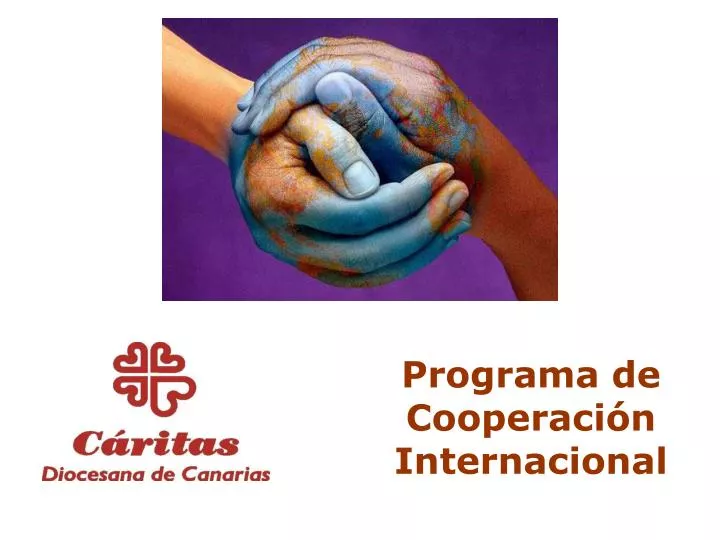 programa de cooperaci n internacional