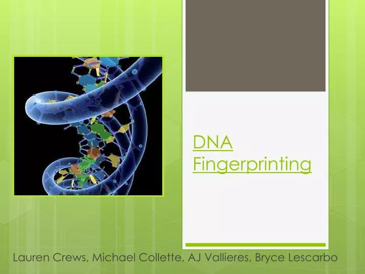 dna fingerprinting