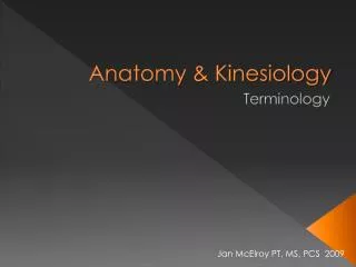 Anatomy &amp; Kinesiology