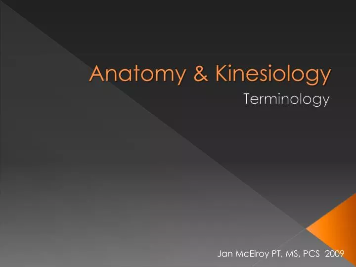 anatomy kinesiology