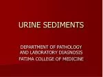 URINE SEDIMENTS - slide 1