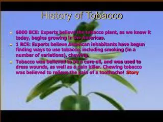 History of Tobacco