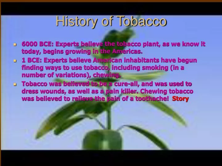 history of tobacco
