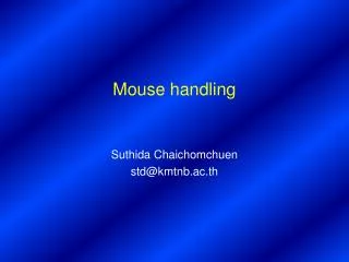 Mouse handling