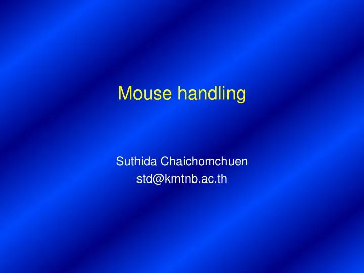 mouse handling