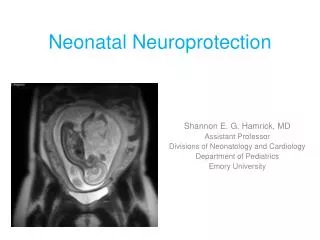 Neonatal Neuroprotection