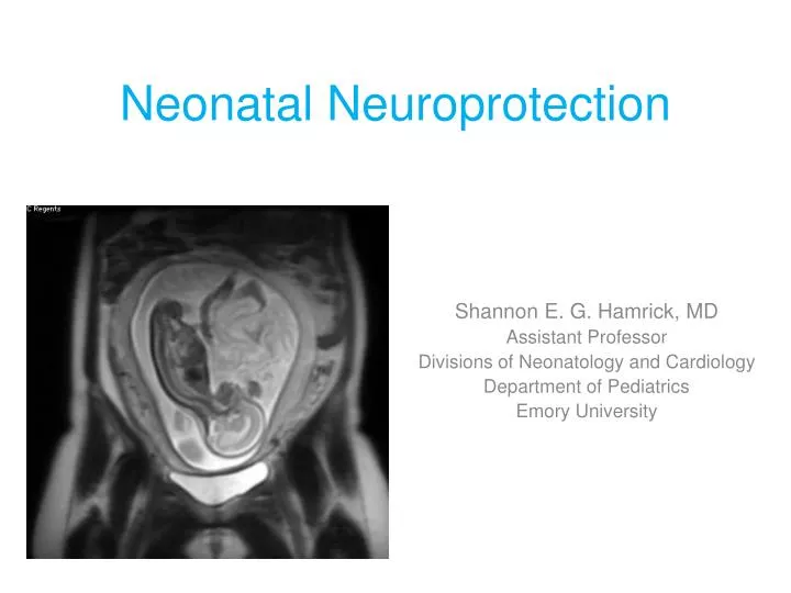 neonatal neuroprotection