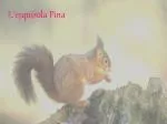 L’esquirola Pina - slide 1